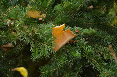 Similar image 22338388