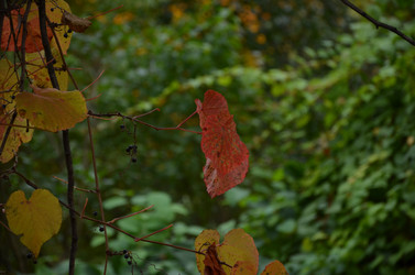 Similar image 22338389