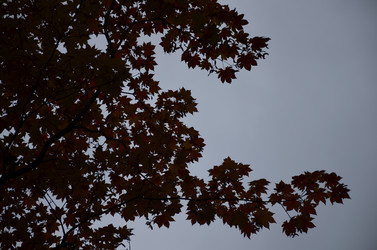 Similar image 22338390