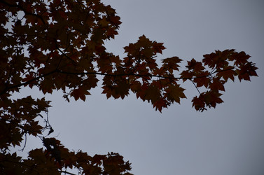 Similar image 22338392