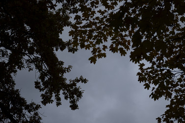 Similar image 22338393