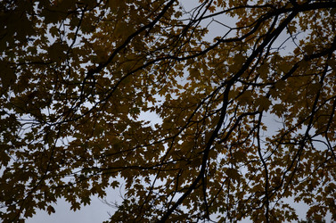 Similar image 22338394