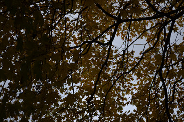 Similar image 22338395