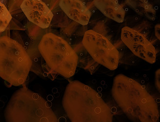 Similar image 22341824