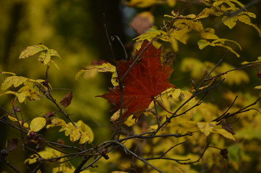 Similar image 22338396