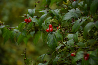 Similar image 22338397