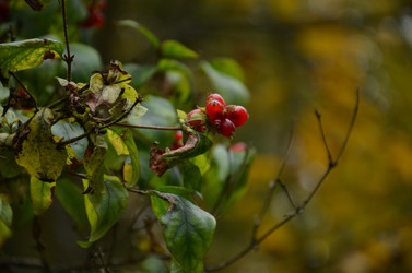 Similar image 22338398