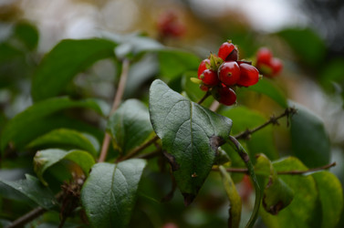 Similar image 22338399