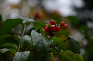 Similar image 22338400