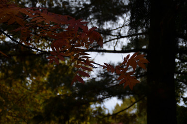 Similar image 22338401