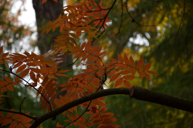 Similar image 22338402