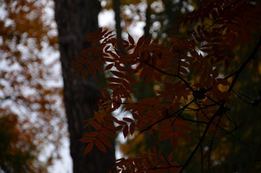 Similar image 22338403