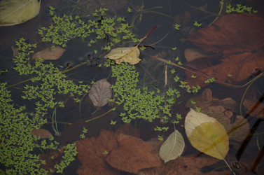 Similar image 22338405