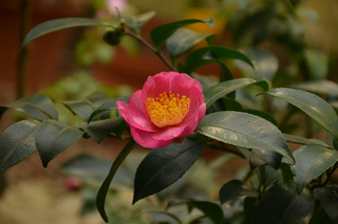 Similar image 22338406