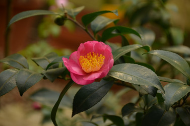 Similar image 22338407