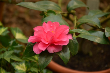 Similar image 22338408