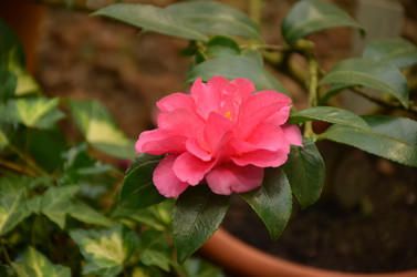 Similar image 22338409