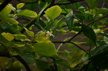 Similar image 22338410