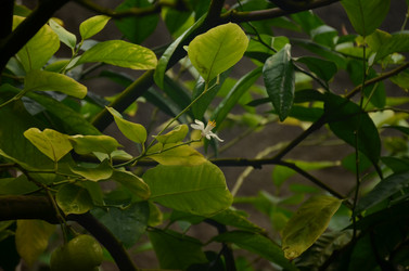 Similar image 22338411