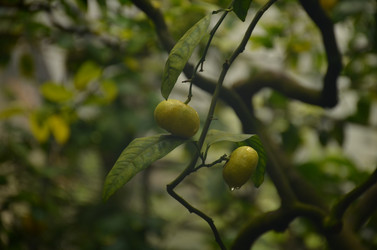 Similar image 22338412