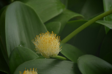 Similar image 22338413