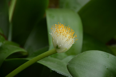 Similar image 22338414