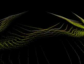 Similar image 22347769