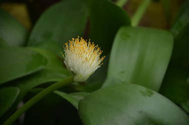 Similar image 22338415