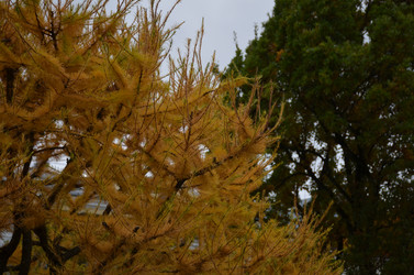 Similar image 22338416