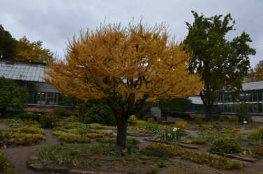 Similar image 22333776