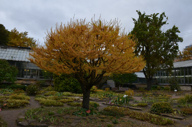 Similar image 22333777