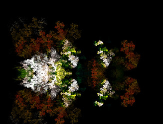 Similar image 22341583