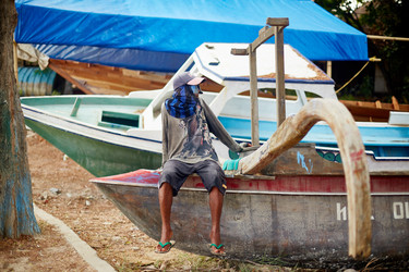 Similar image 22342985