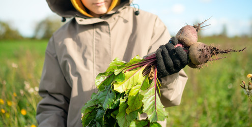 Similar image 22338973