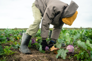 Similar image 22338974