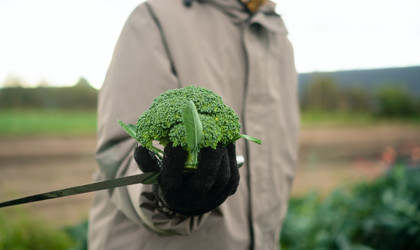 Similar image 22338977