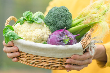 Similar image 22338988