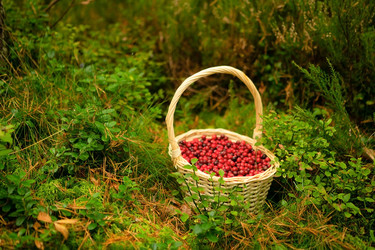 Similar image 22338915