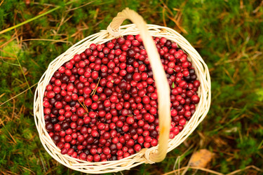 Similar image 22338917