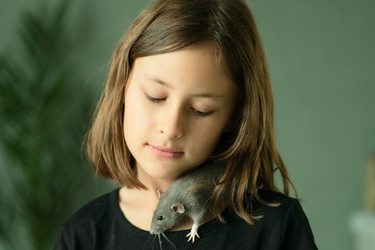 Similar image 22339010