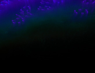 Similar image 22347817