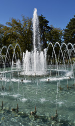 Similar image 22333810