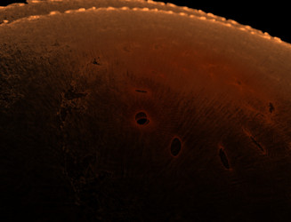 Similar image 22347844