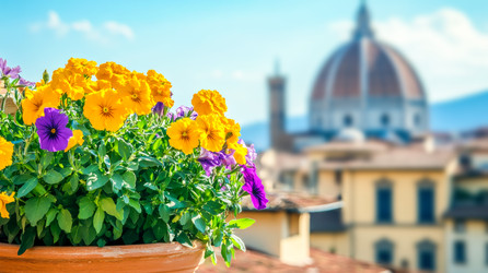 Similar image 22340879