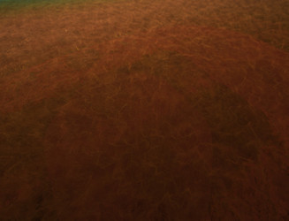 Similar image 22341640