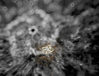 Similar image 22341655