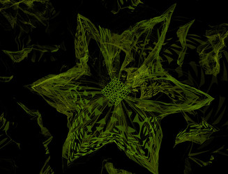 Similar image 22341785