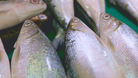 Similar image 22338782