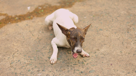 Similar image 22338786