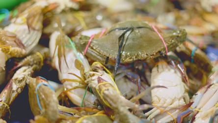 Similar image 22338791